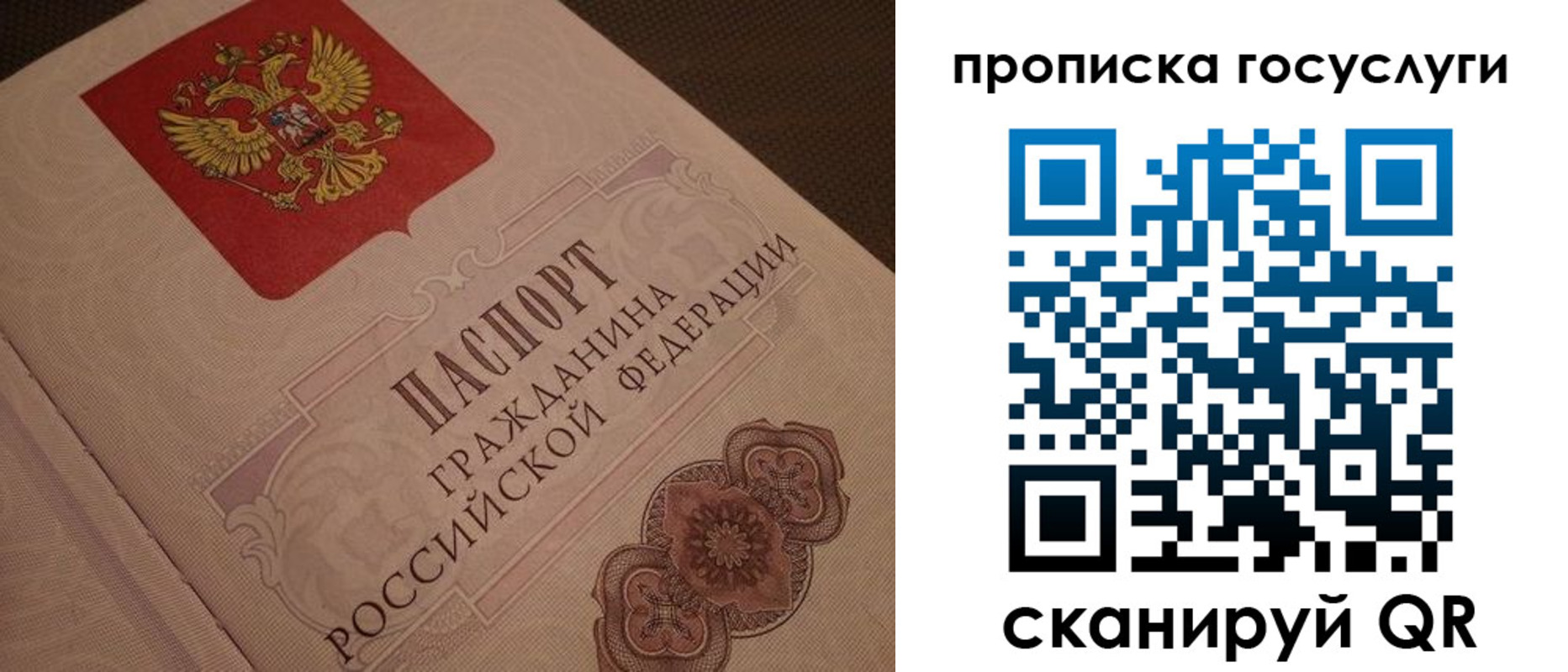 прописка для работы в Светлограде