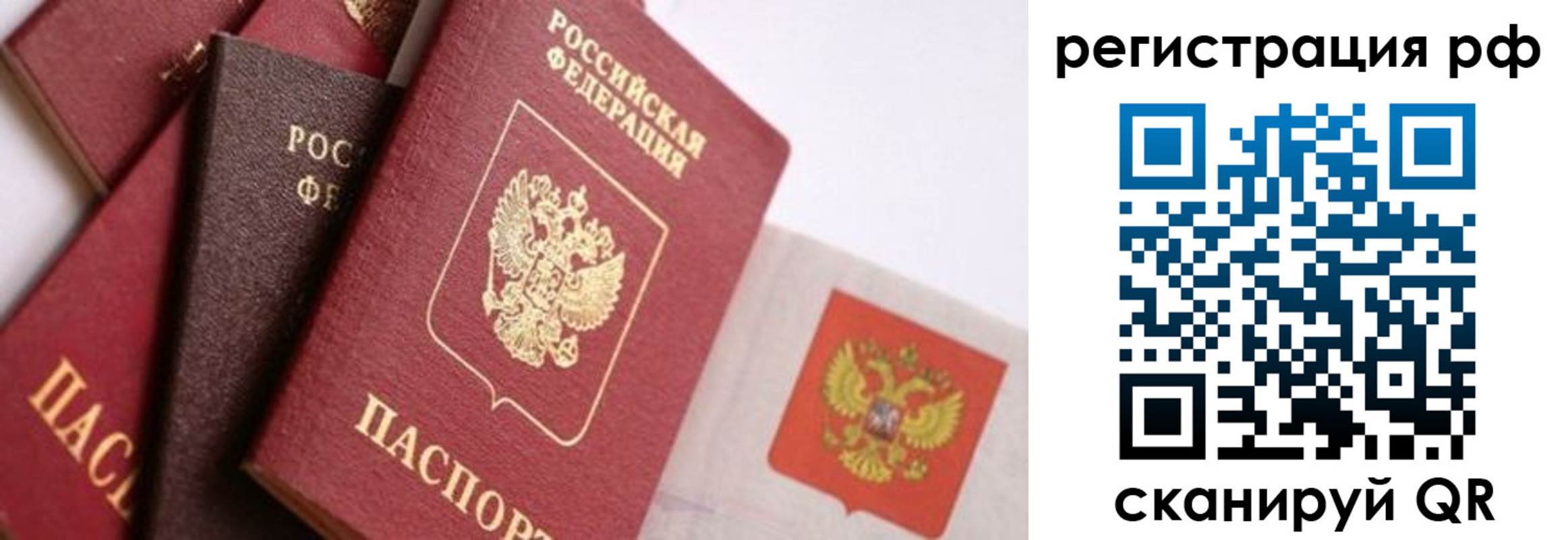 временная регистрация госуслуги в Светлограде